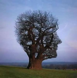 immaginazione digitale